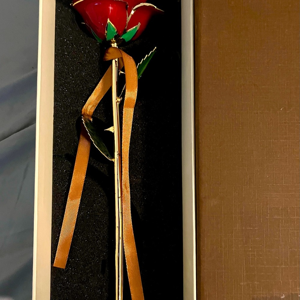 I hate Steven Singer red gold dipped rose